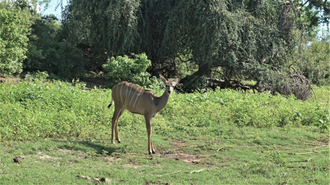photo 1859891