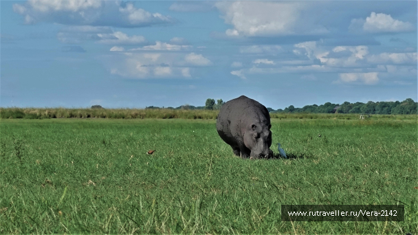 photo 1863896