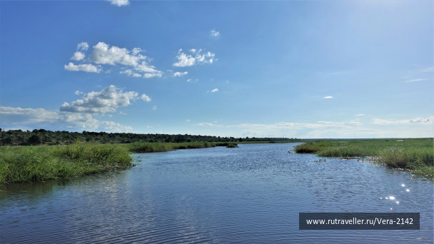 photo 1866231