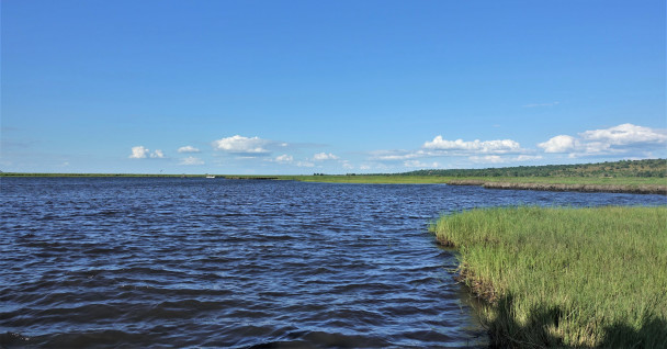 photo 1875983