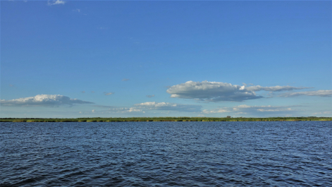 photo 1880239