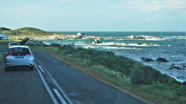 photo 1878721
