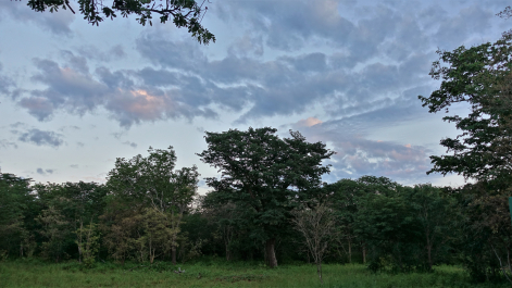 photo 1853023