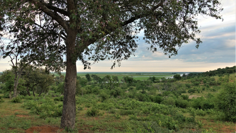 photo 1854696