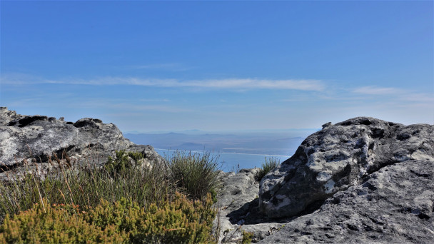 photo 1881866