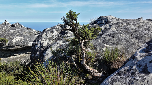 photo 1882761