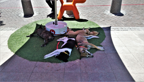 photo 1856084
