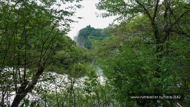 photo 1945630