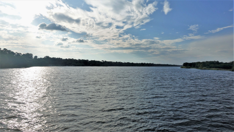 photo 1853413