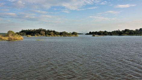 photo 1854930