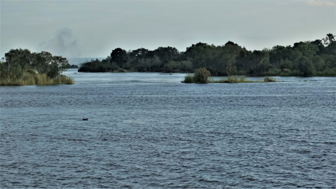 photo 1855184