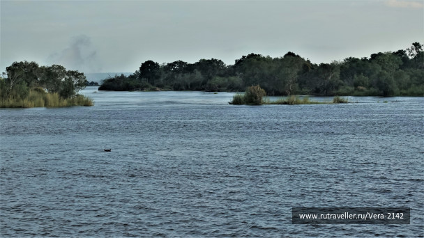 photo 1855184