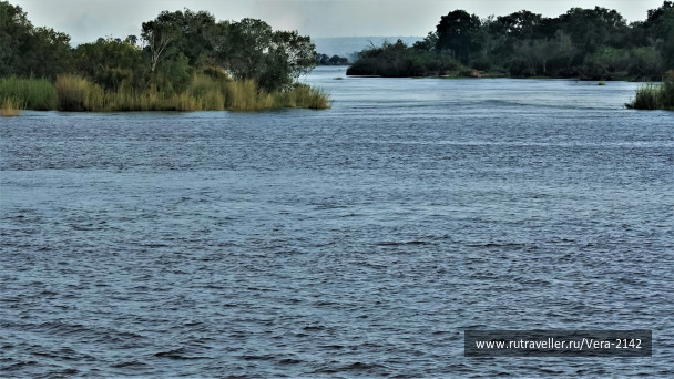 photo 1858454