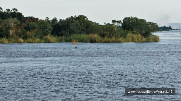 photo 1858716