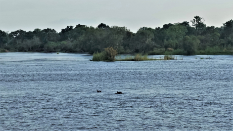 photo 1859531