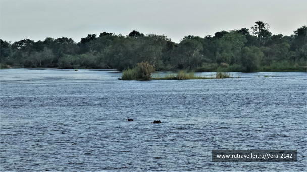 photo 1859531
