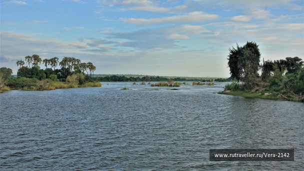 photo 1859755