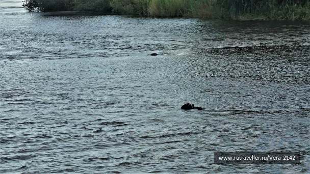 photo 1859887