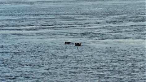 photo 1860574