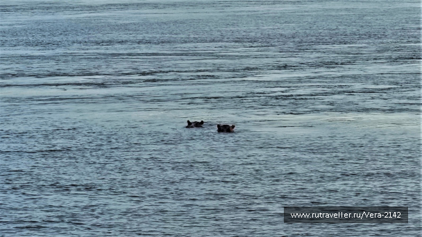 photo 1860574