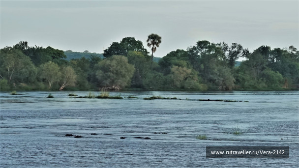 photo 1860744