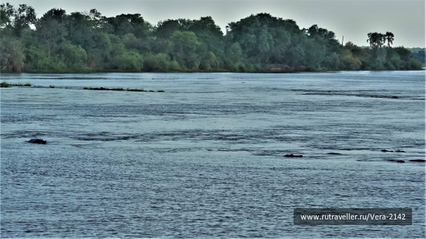 photo 1860957