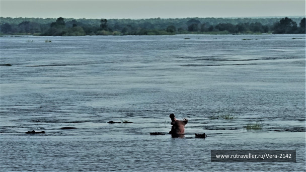 photo 1861347