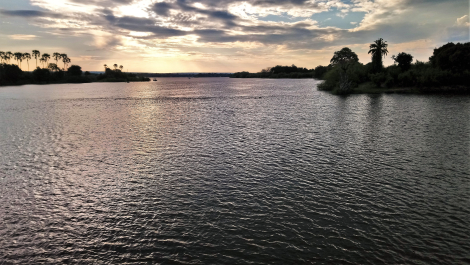 photo 1861499