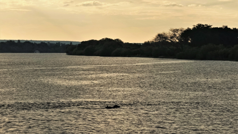 photo 1861847