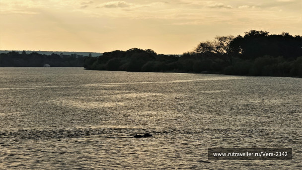 photo 1861847