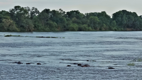 photo 1862059
