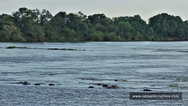 photo 1862059