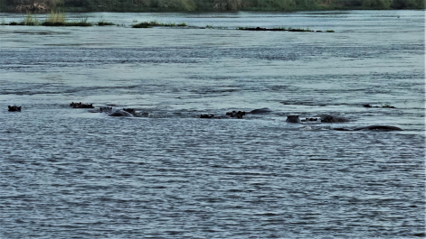 photo 1862422