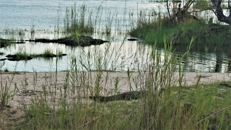 photo 1863557