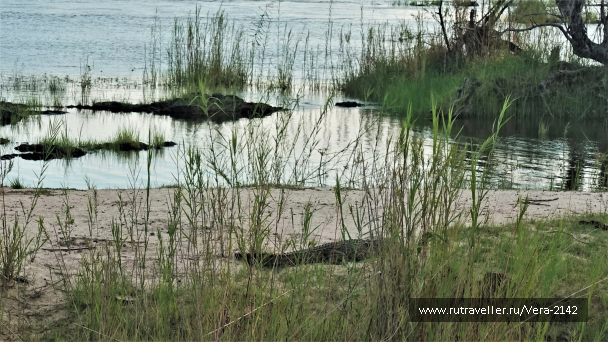 photo 1863557