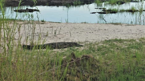 photo 1863719
