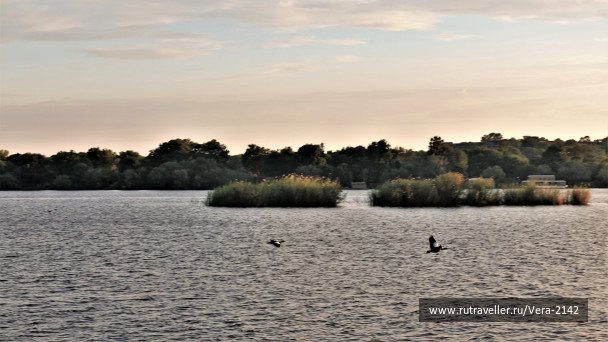 photo 1865962