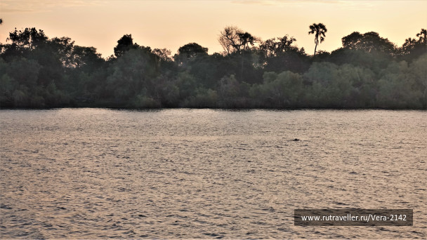 photo 1866724