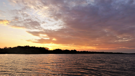 photo 1875677