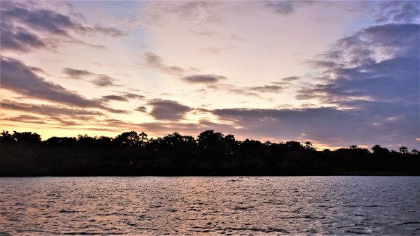 photo 1875987