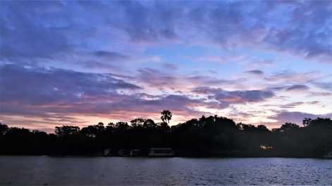 photo 1876178
