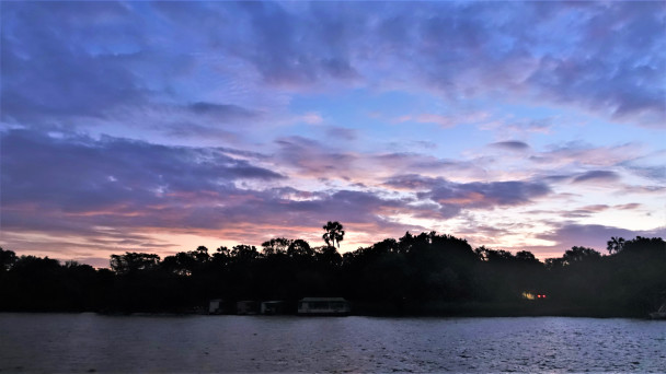 photo 1876178