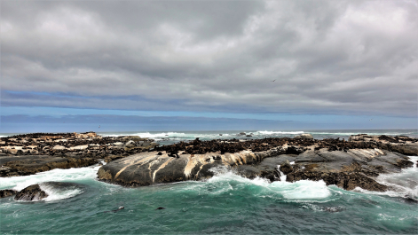 photo 1861348