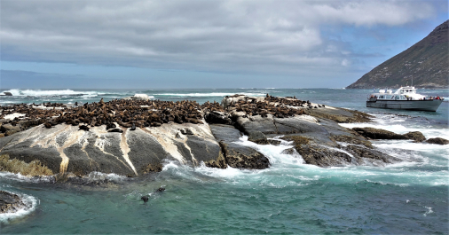 photo 1863718