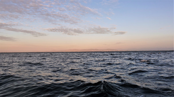 photo 1880566