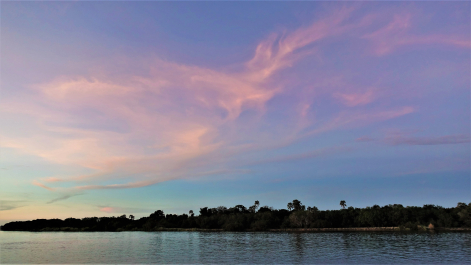 photo 1866348