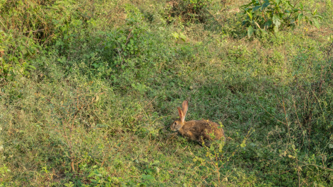 photo 2072474
