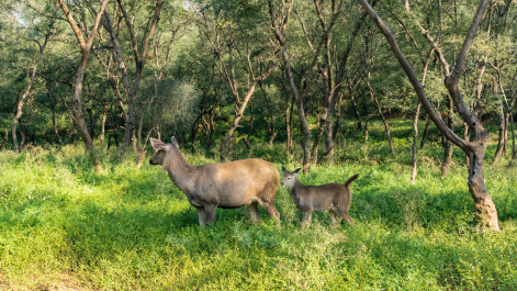photo 2074414