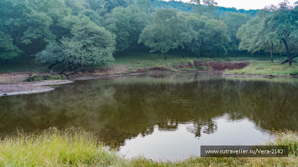 photo 2078760