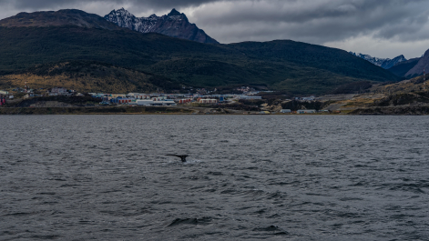 photo 2092823